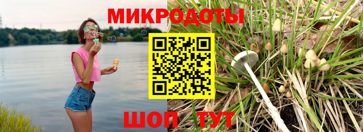 Лесозаводск  Псилоцибиновые грибы Psilocybine cubensis  Вход с VPN 